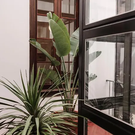 Casa Colonial El Indiano *