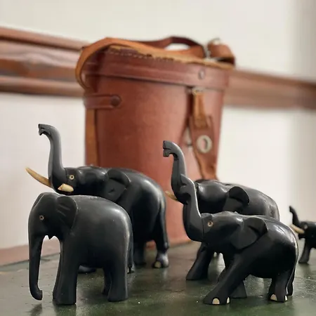 Casa Colonial El Indiano *