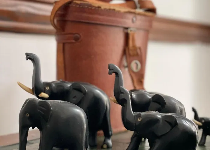 Casa Colonial El Indiano *