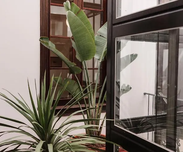 Casa Colonial El Indiano *